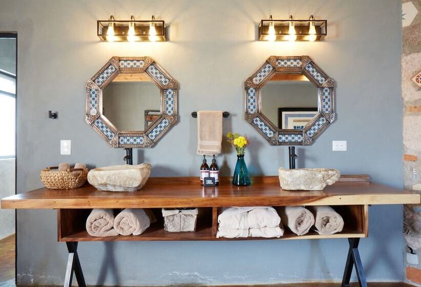 בית מלון כפרי Casa Pavo Real En Viñedo El Pavo Real