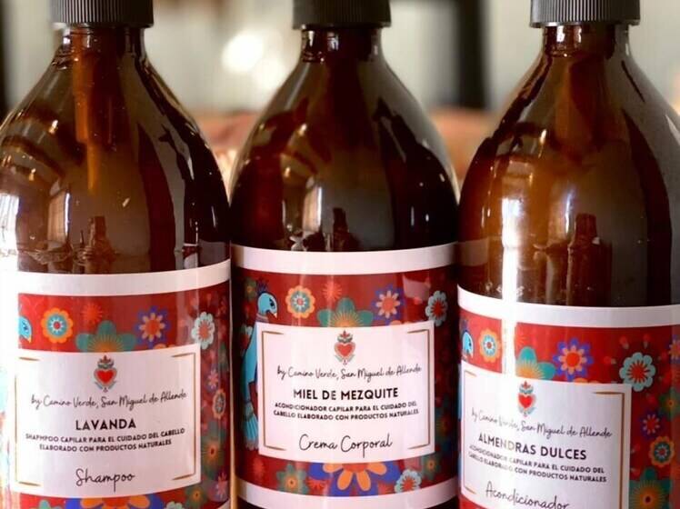 בית מלון כפרי Casa Pavo Real En Viñedo El Pavo Real