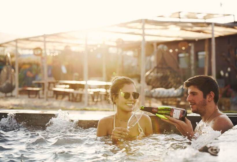 בית מלון כפרי Casa Pavo Real En Viñedo El Pavo Real