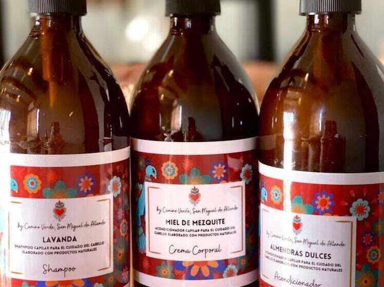 בית מלון כפרי Casa Pavo Real En Viñedo El Pavo Real