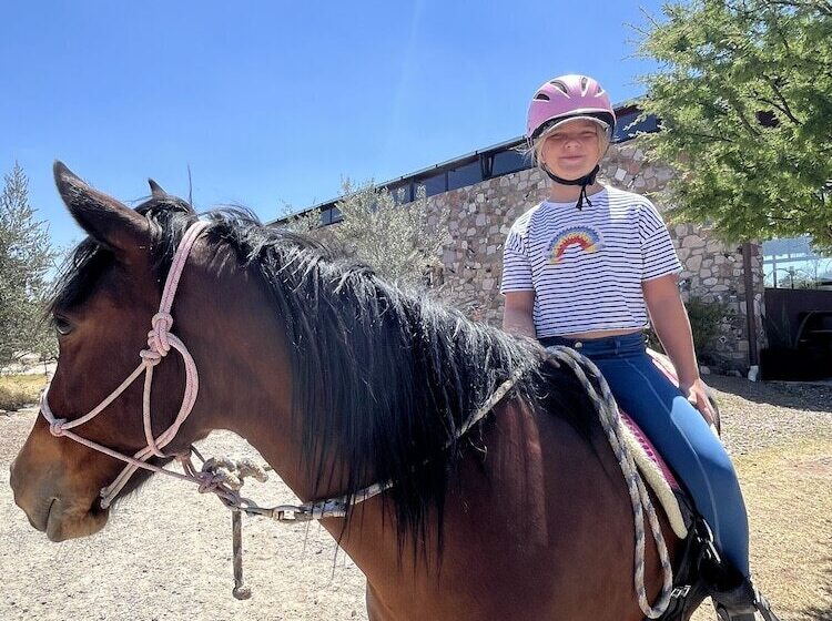 בית מלון כפרי Casa Pavo Real En Viñedo El Pavo Real