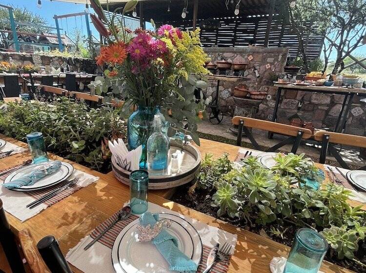 בית מלון כפרי Casa Pavo Real En Viñedo El Pavo Real