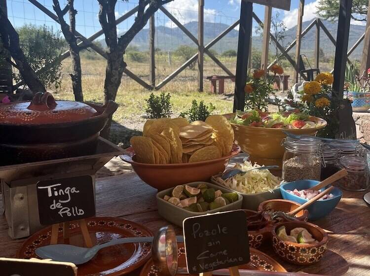 בית מלון כפרי Casa Pavo Real En Viñedo El Pavo Real