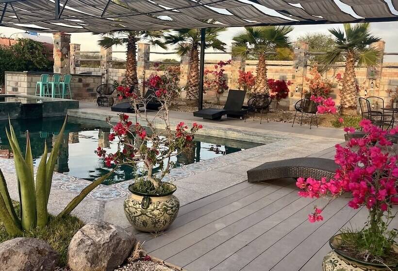 בית מלון כפרי Casa Pavo Real En Viñedo El Pavo Real