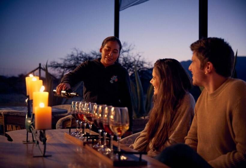 בית מלון כפרי Casa Pavo Real En Viñedo El Pavo Real