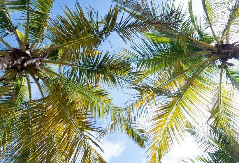 Отель Morrumbene Beach Resort