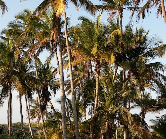 Отель Morrumbene Beach Resort