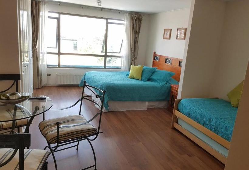 Pedro De Valdivia Apartment Providencia
