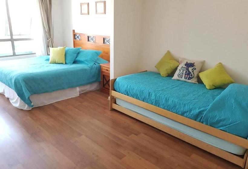 Pedro De Valdivia Apartment Providencia