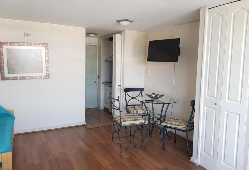 Pedro De Valdivia Apartment Providencia