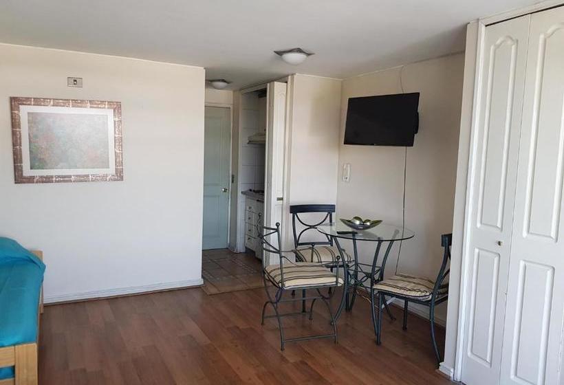 Pedro De Valdivia Apartment Providencia