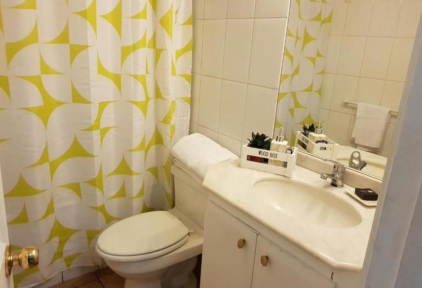 Pedro De Valdivia Apartment Providencia