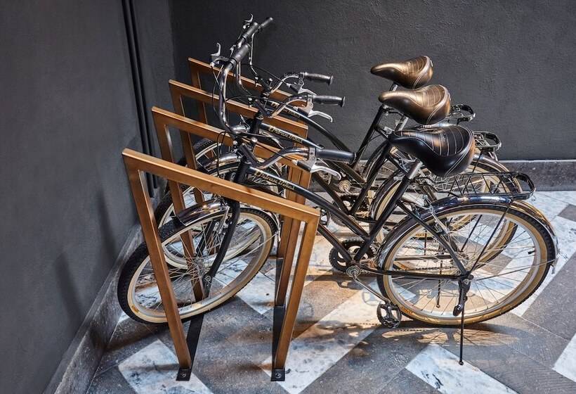 Отель City Centro By Marriott Ciudad De Mexico