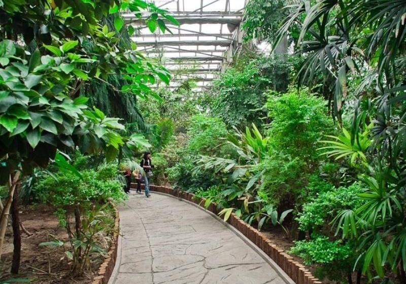 酒店 Greentree Inn Tinajin Xiqing District  Zhongbei Down Xiqing Road Shell