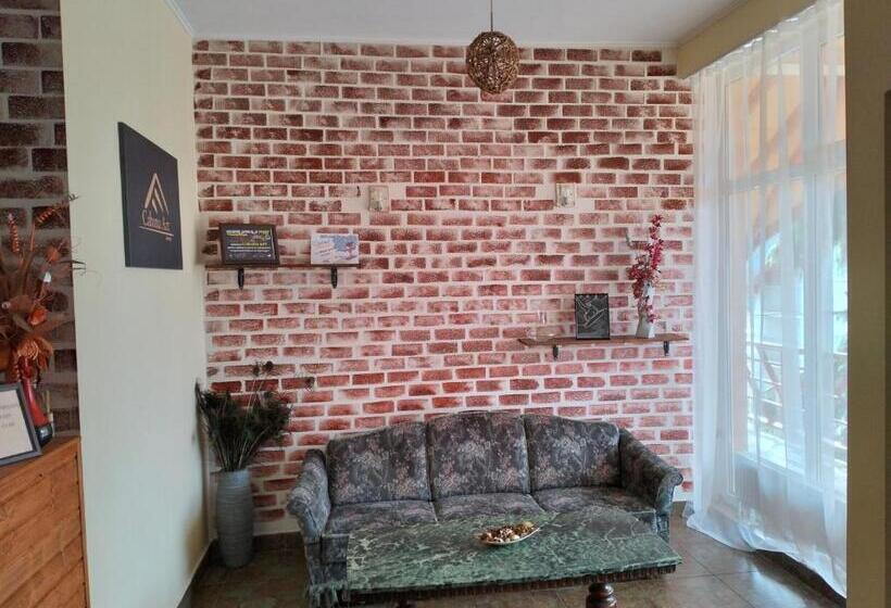 Отель Pensiunea Cabana Art