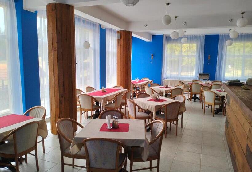 Отель Pensiunea Cabana Art