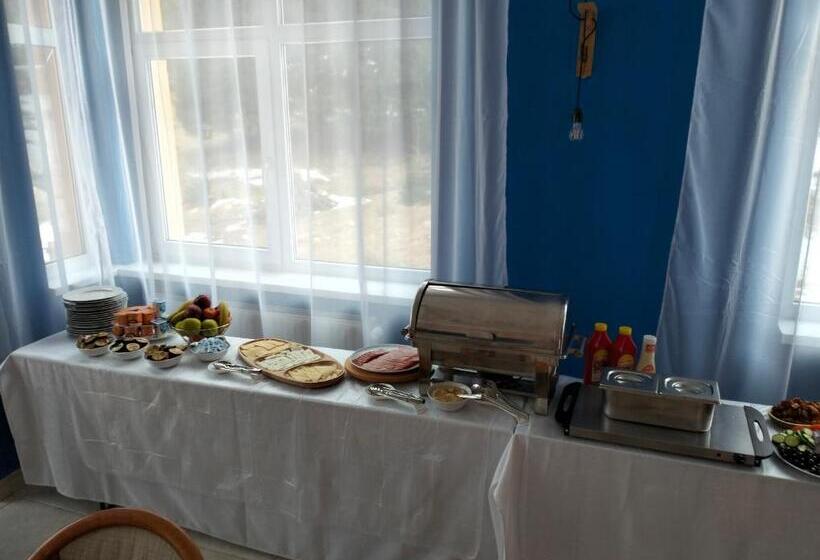 Отель Pensiunea Cabana Art