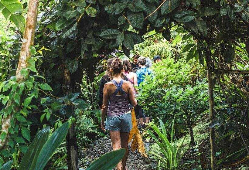 هتل Selva Armonia