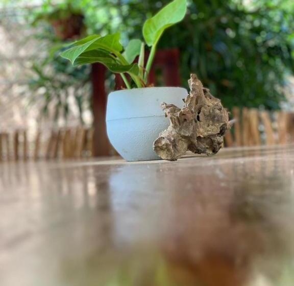 Пансион Art House Hiriketiya