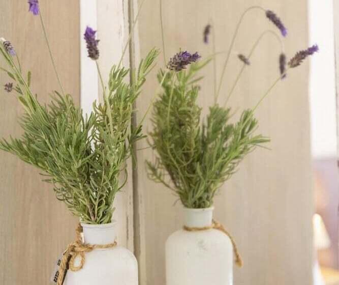 Amapola Villas   Private Villas Phos & Agapi