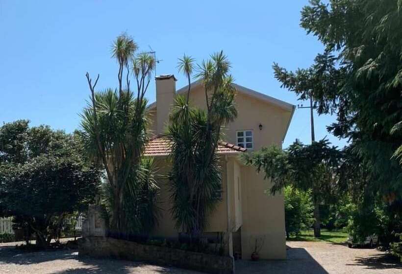 مبيت وإفطار Casas Do Souto