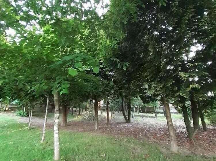 مبيت وإفطار Casas Do Souto