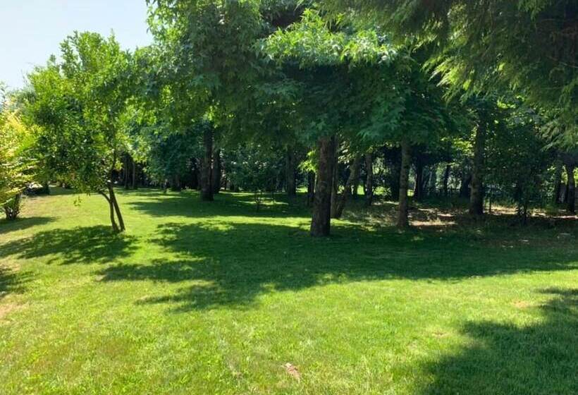 مبيت وإفطار Casas Do Souto