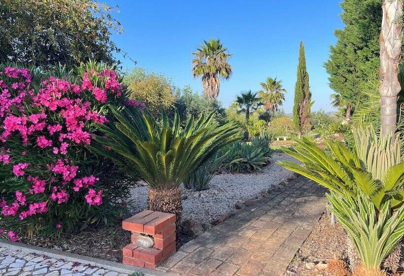 ベッドアンドブレックファースト Vila Relaxmountain