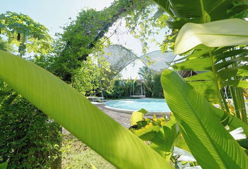 ホテル Bamboo Zanzibar