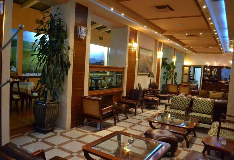 בית מלון כפרי Elena