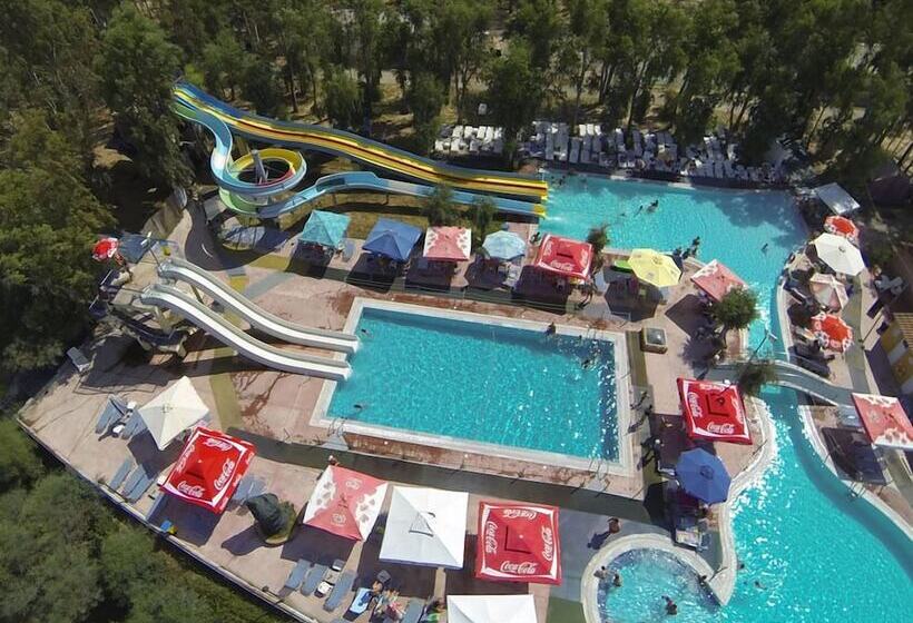 בית מלון כפרי Happy Camp In Camping Golden Sunset