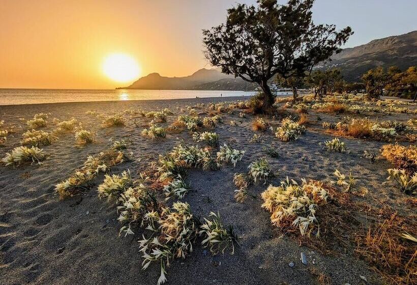 호텔 Happycamp Mobile Homes Camping Apollonia