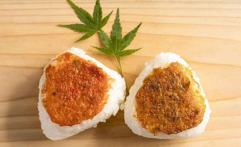 فندق Ishiuchi Ski Center