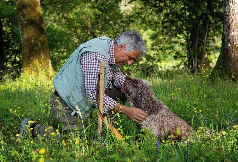 בית מלון כפרי Agriturismo Borgo Scaffaia