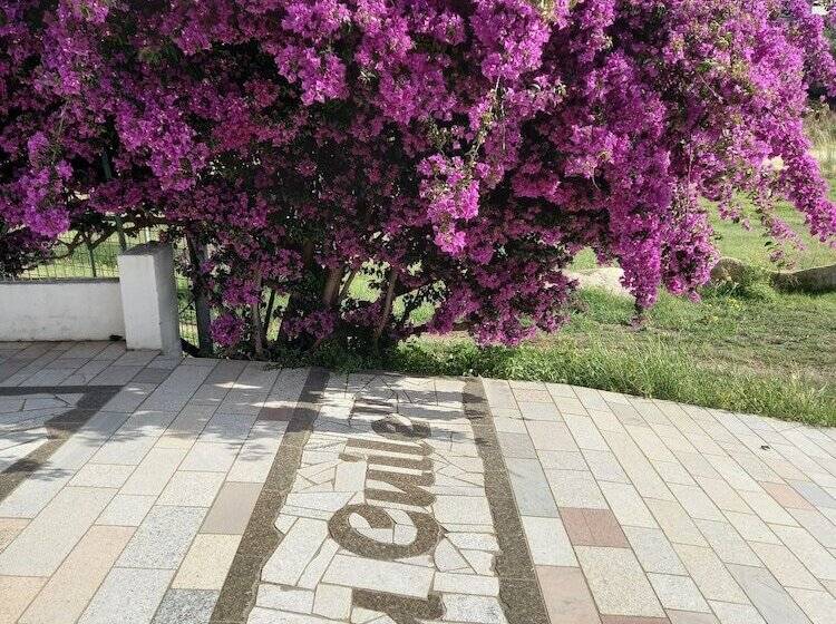 בית מלון כפרי Agriturismo E Camere Su Cuile Countryside Comfort Rooms