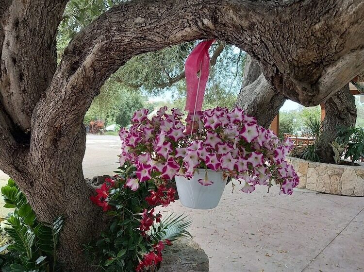 בית מלון כפרי Agriturismo E Camere Su Cuile Countryside Comfort Rooms