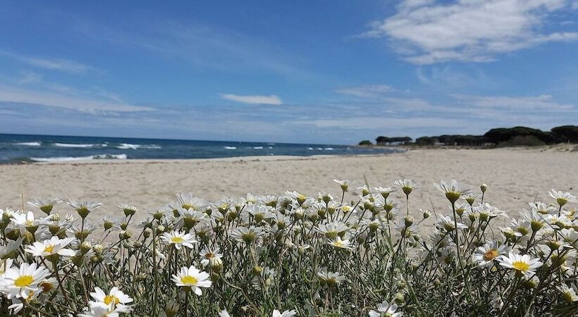 בית מלון כפרי Agriturismo E Camere Su Cuile Countryside Comfort Rooms