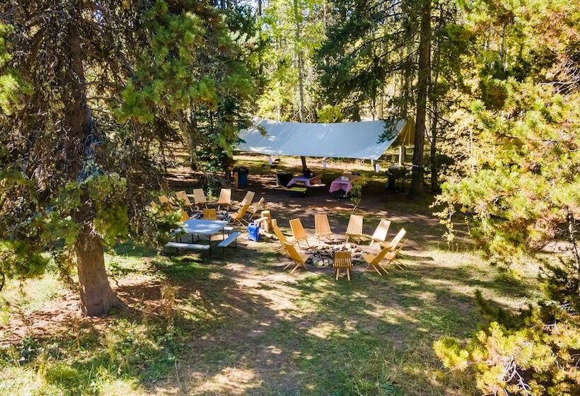 فندق Safari Glamping