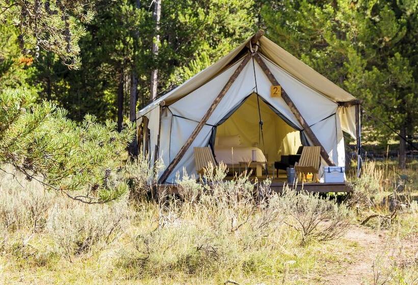 فندق Safari Glamping