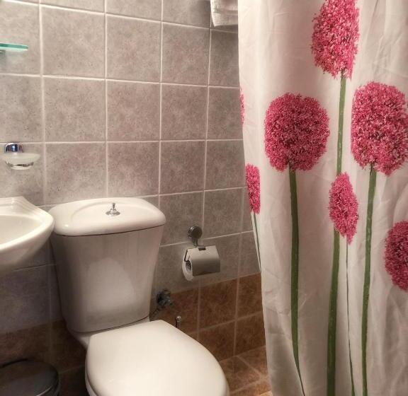 ホテル Varosi Guesthouse