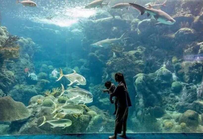 بنسيون Amazing House Relax Near Raymond Stadium