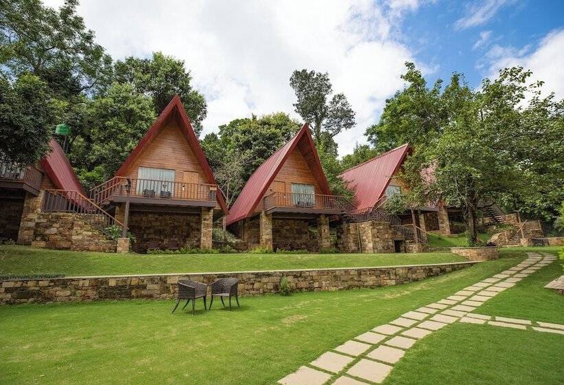 The Pear Orchard By Countryside