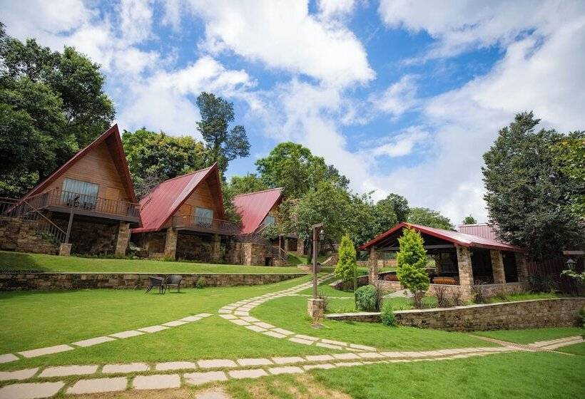 The Pear Orchard By Countryside