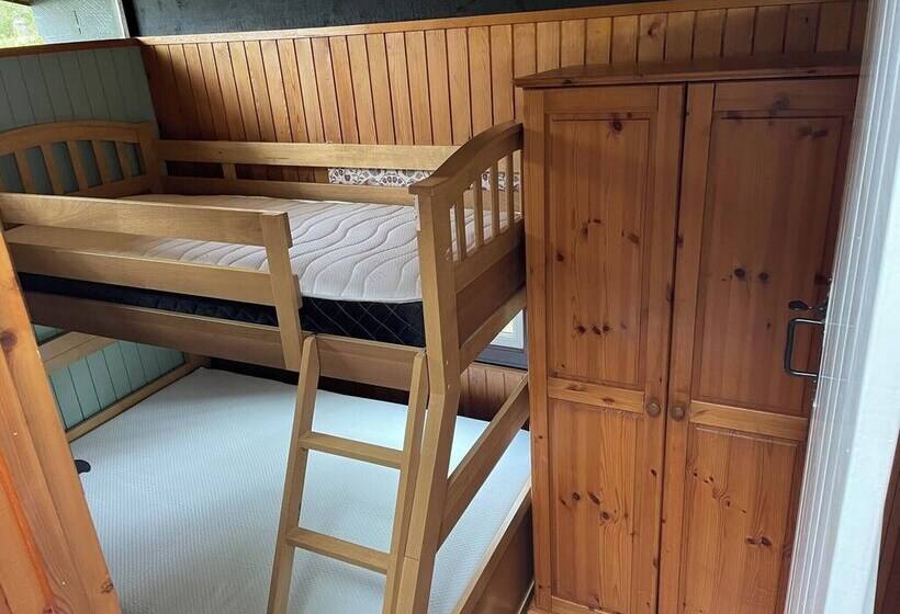 11 Tan Y Coed Woodland Lodge