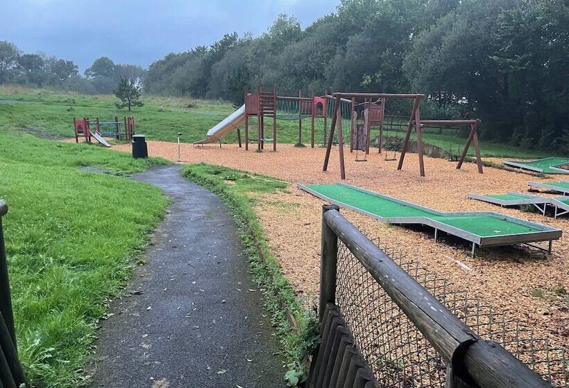 11 Tan Y Coed Woodland Lodge