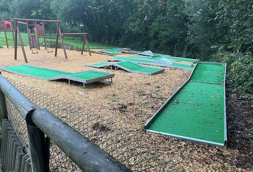 11 Tan Y Coed Woodland Lodge