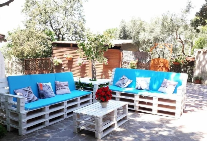 ベッドアンドブレックファースト Affittacamere Il Girasole