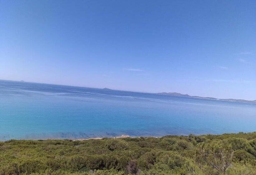 ベッドアンドブレックファースト Affittacamere Il Girasole