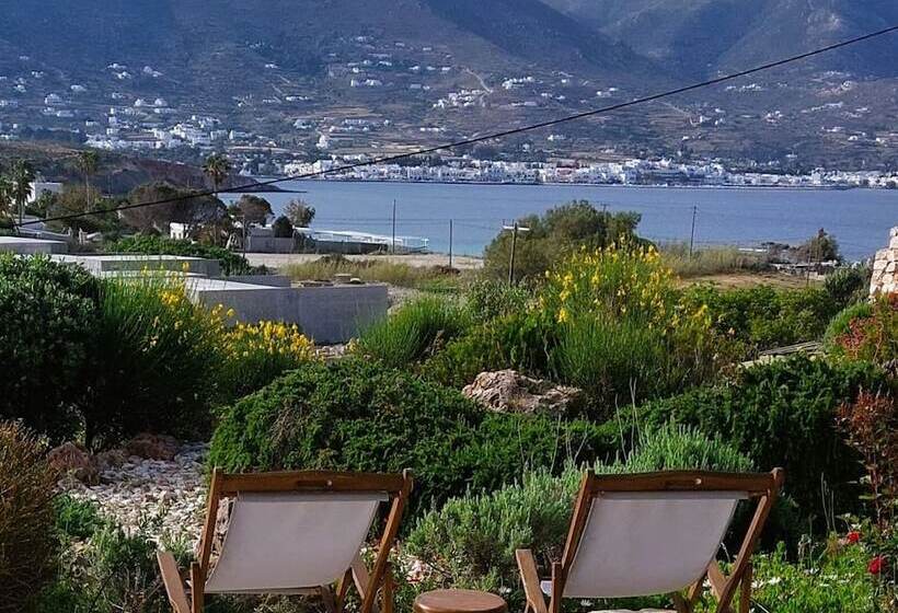 Blue Greens Villas In Krios, Paros Island