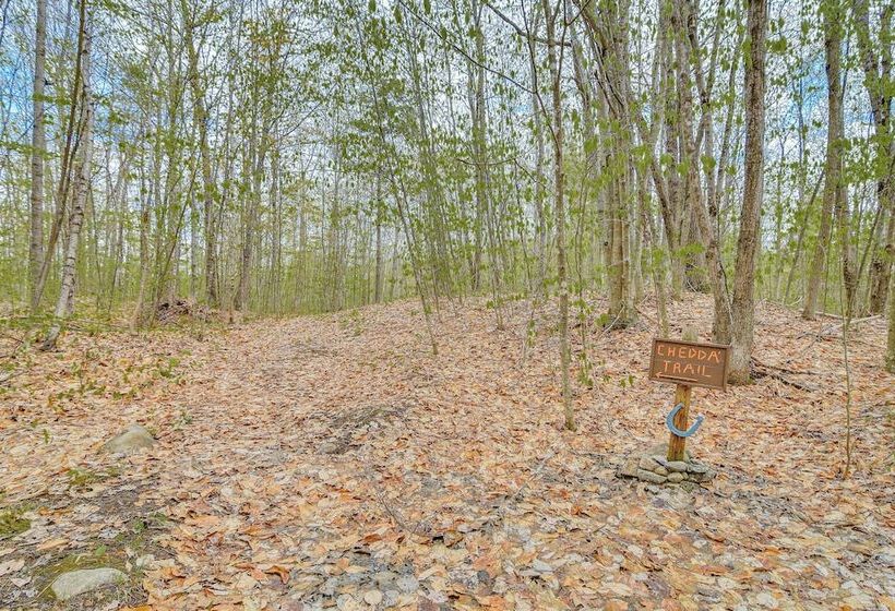 Charming Lovell Cabin   7 Mi To Kezar Lake!